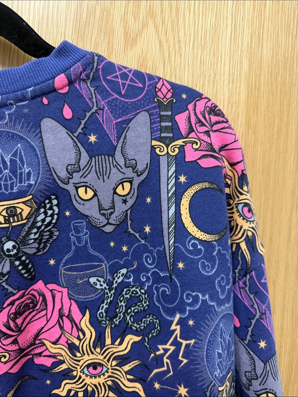 Earthbound Mystical Sphynx Cat Print Sweatshirt in Navy & Pink - Picture 7 of 8